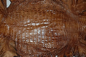 gator leather, alligator skin, alligator hide