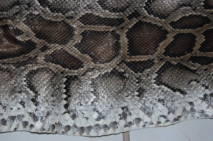 Python Snake Skin Hide Leather