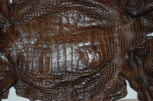 gator leather, alligator skin, alligator gator hide