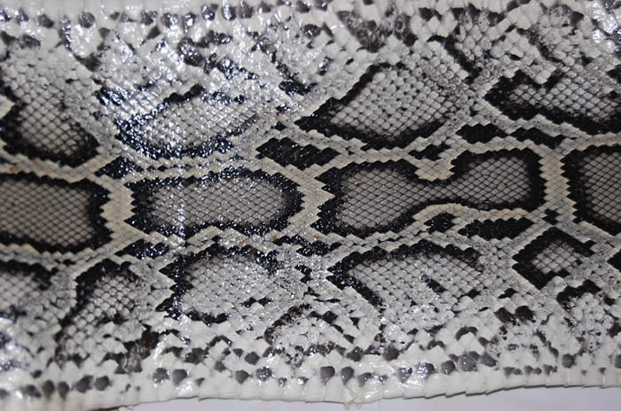 Python Snake Skin Hide Leather