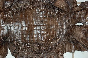 alligator leather, gator hide, alligator skin