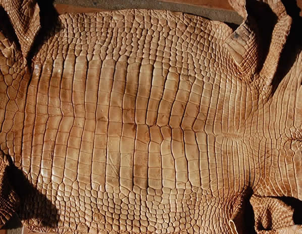 Bark tanned alligator hide - gator leather/skin