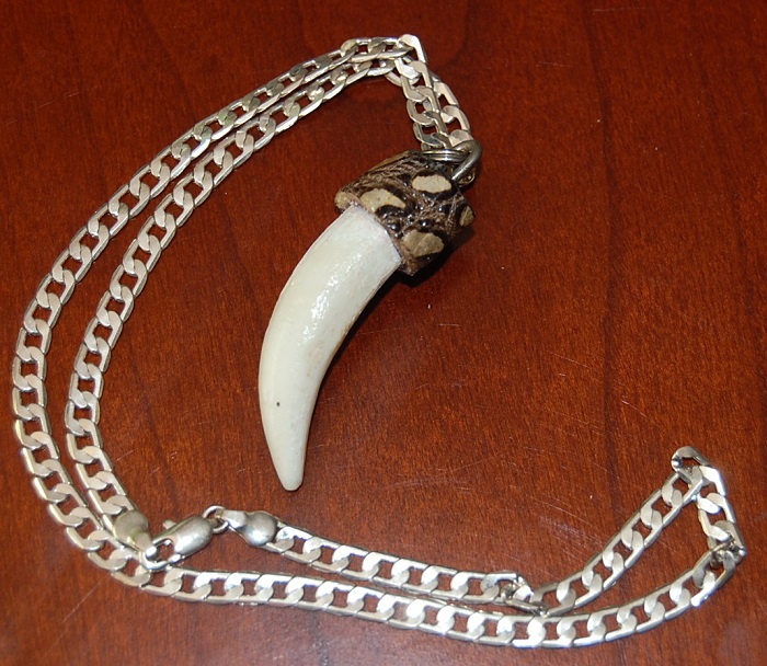 Gator tooth necklace