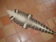 alligator, skin, hydes, hides, tail, leather