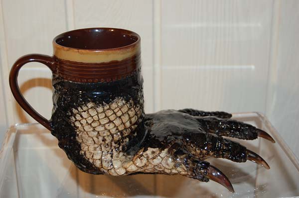 mug,ceramic,glass,foot,alligator,gator