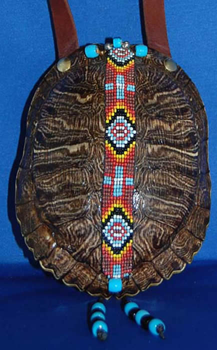 turtle shell purse
